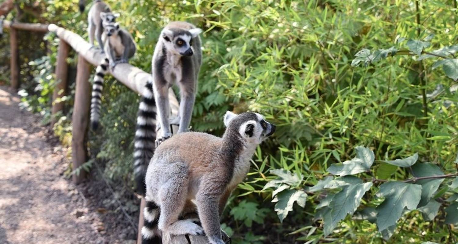 1000 Views of Madagascar - 12 days - On The Go Tours