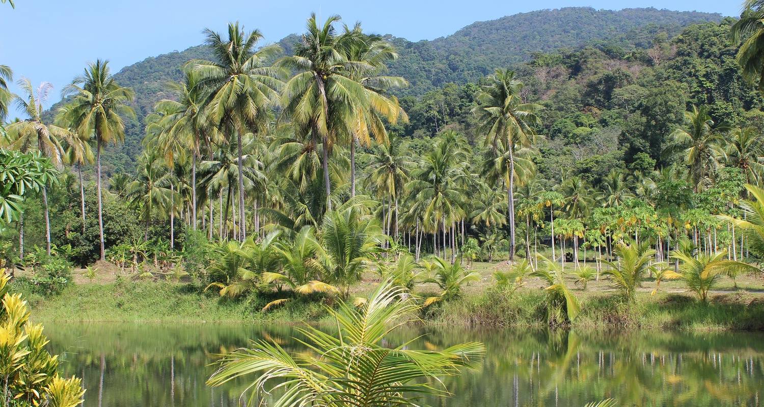 Bolivien: Amazonas Regenwald Kurzurlaub - Intrepid Travel