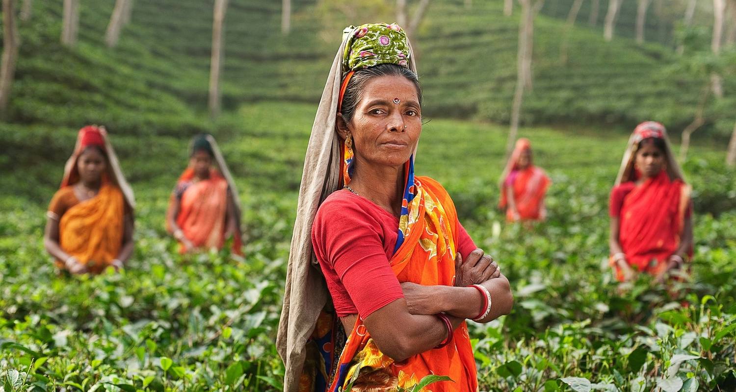 Indiens Goldenes Dreieck (inkl. Dubai, Südindien und Kathmandu) - Monograms
