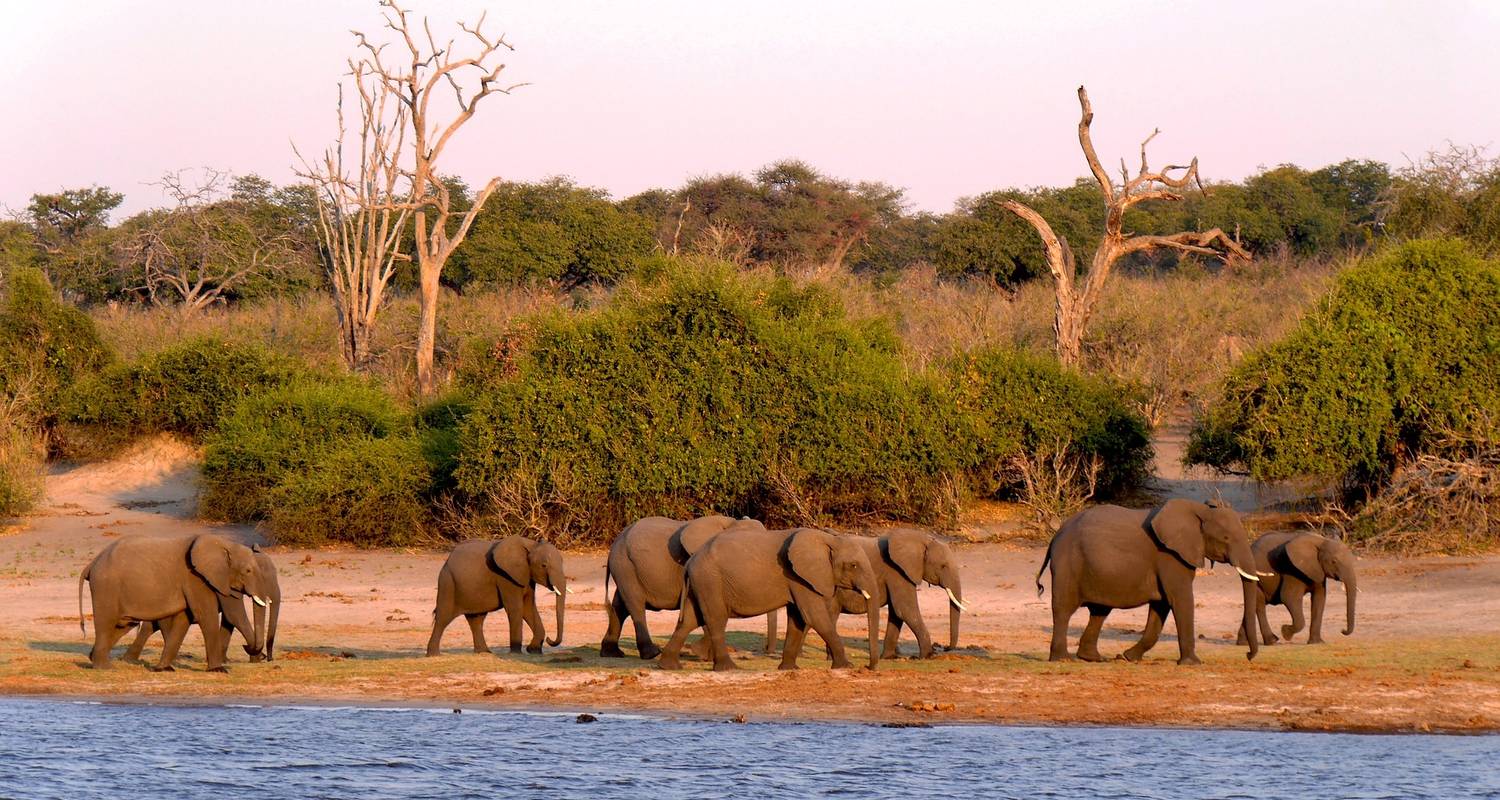 Wilds of Botswana & Victoria Falls - Monograms