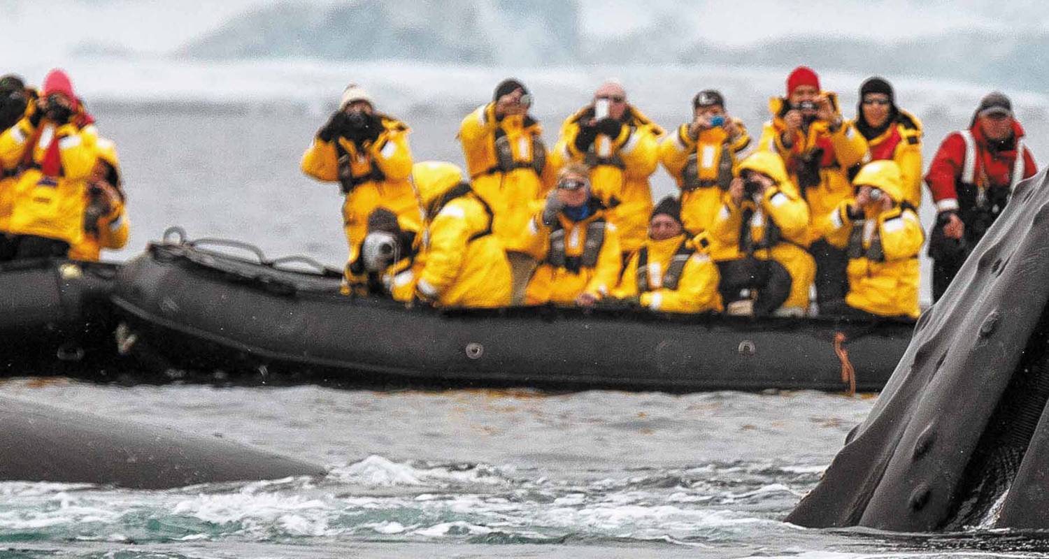 Überquerung des Antarktis-Kreises über Falklands & Südgeorgien von Buenos Aires - Peregrine Adventures