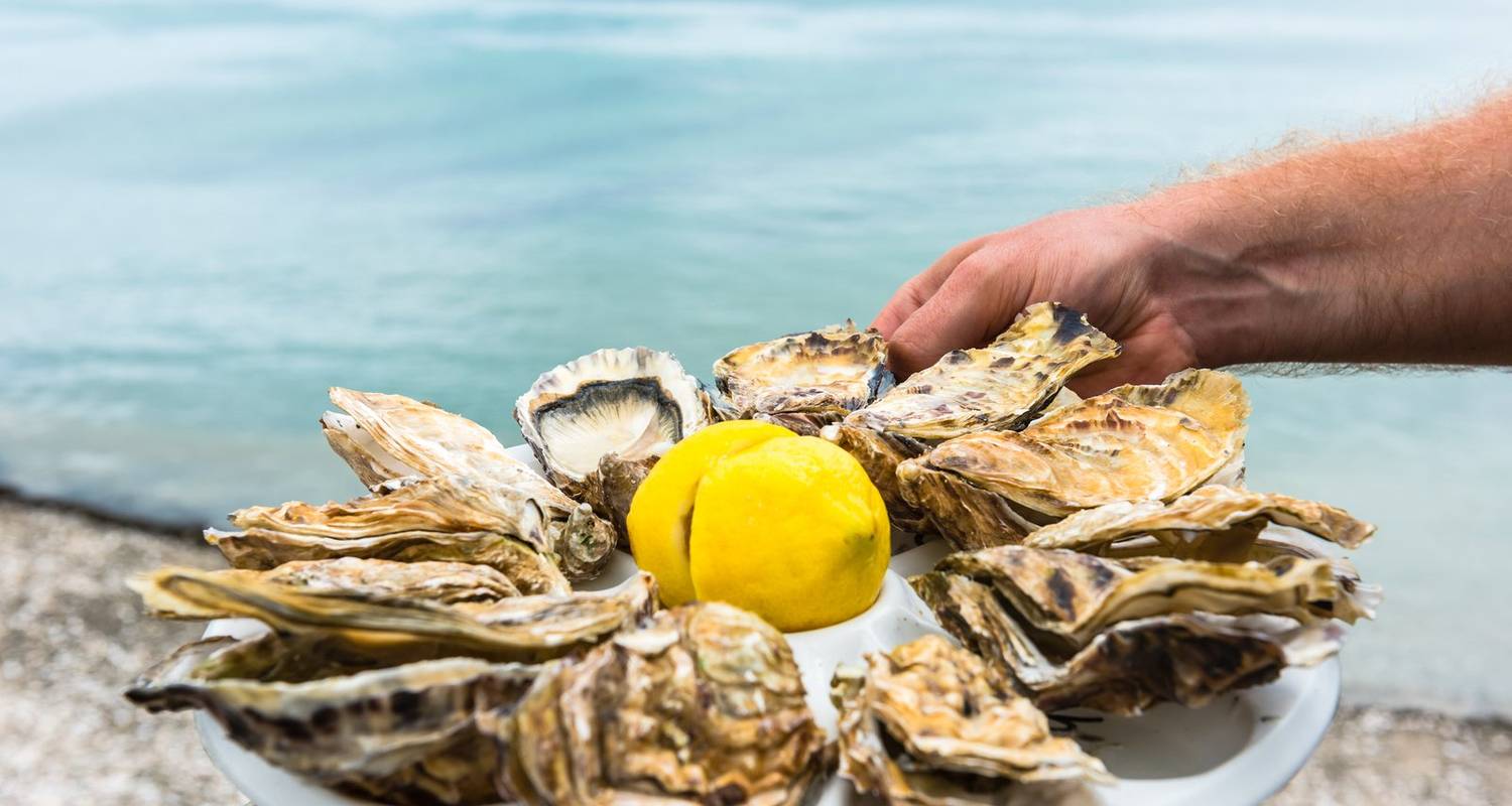 Frankreich: Austern und Wein - Discovery Nomads