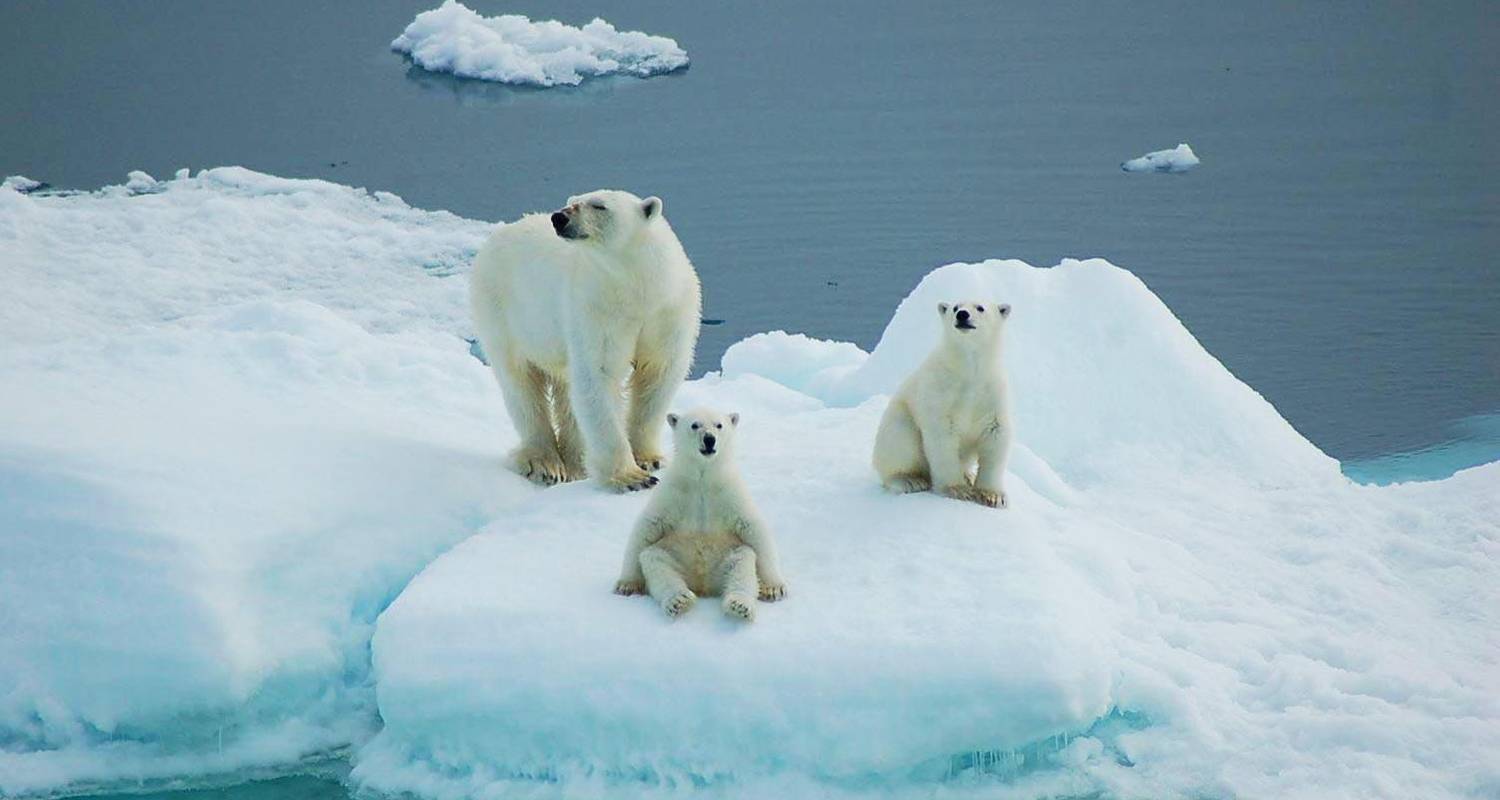 Spitzbergen in der Tiefe - Peregrine Adventures