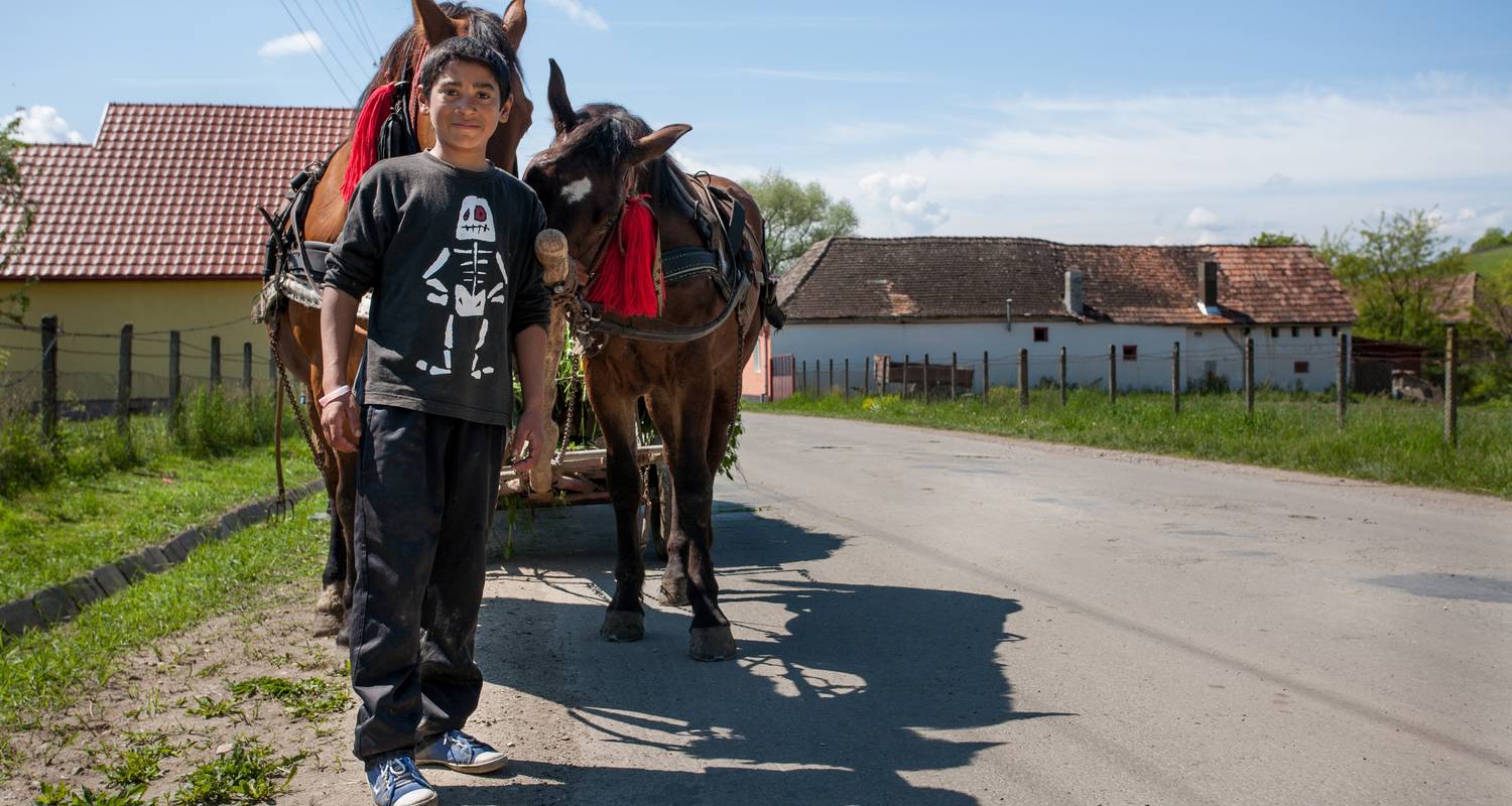 Transylvania Luxury Tours & Trips