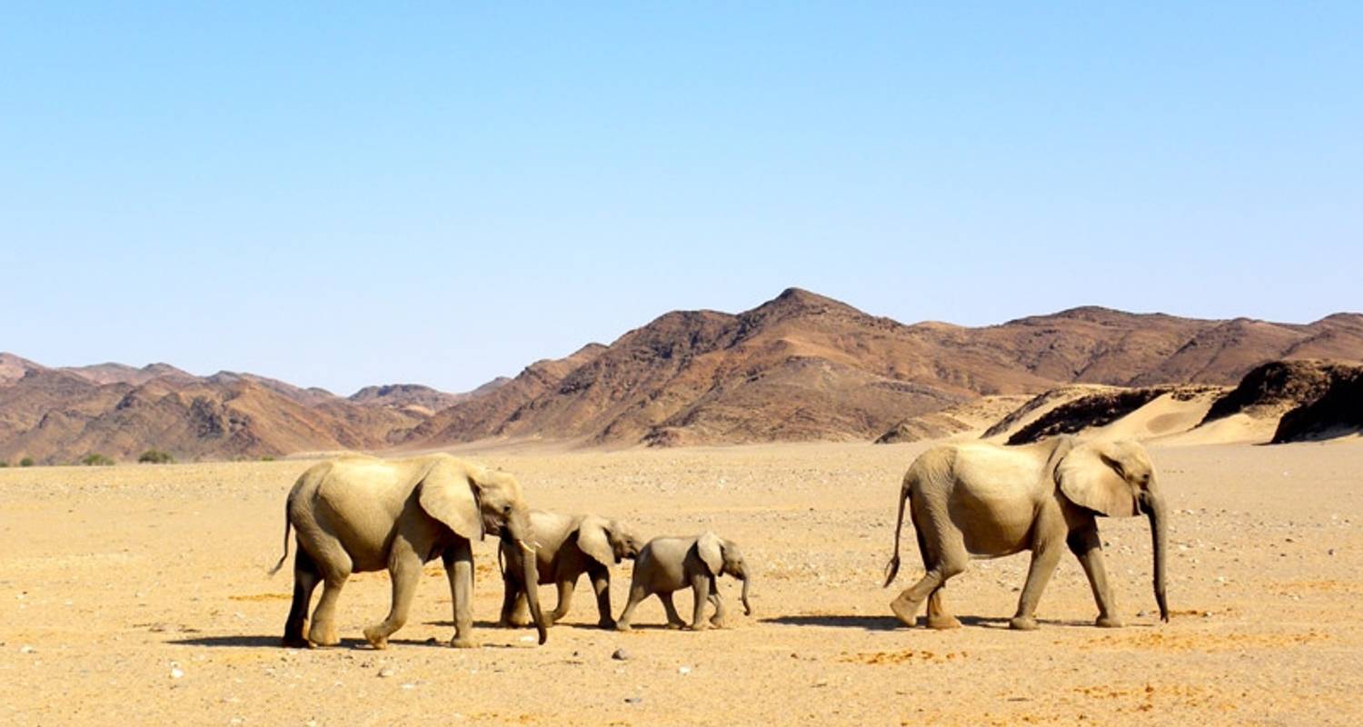 Namibia 4WD Desert Safari - Exodus Travels