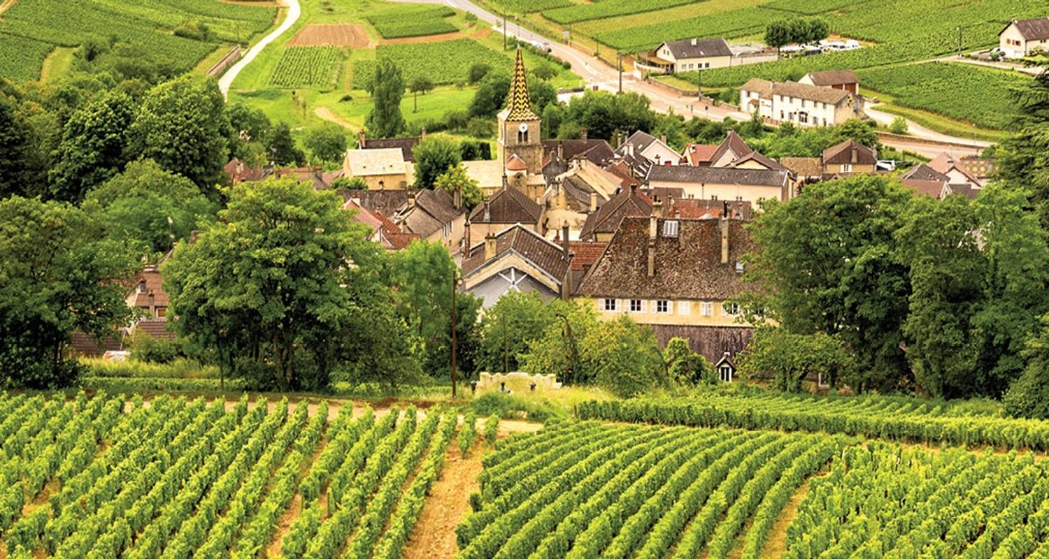 Paris nach Nizza durch Weingärten & Berge (12 Reiseziele) - Back-Roads Touring