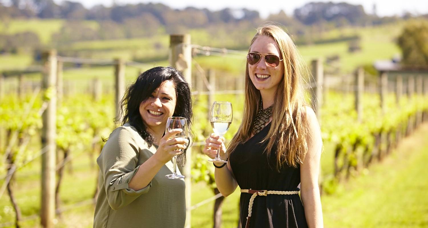 Mornington Peninsula Winery Tour 1 DAY - Wildlife Tours Australia