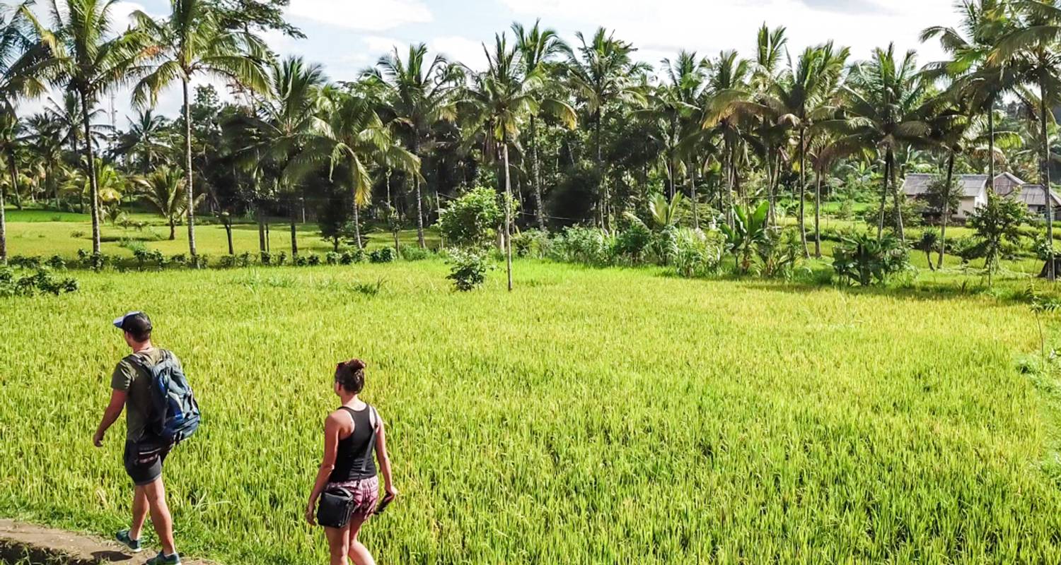 Adventure & Adrenaline Tours & Trips in Bali