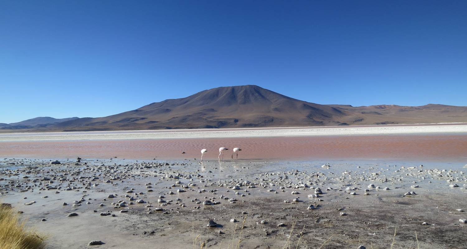 Bolivian Salt Flats & Andean Desert Short Break - Intrepid Travel