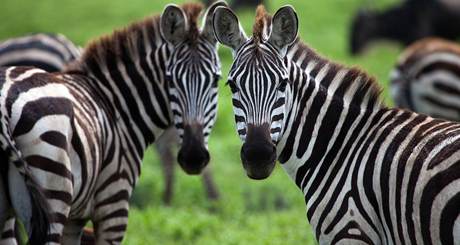 Highlights of Africa - Tucan Travel