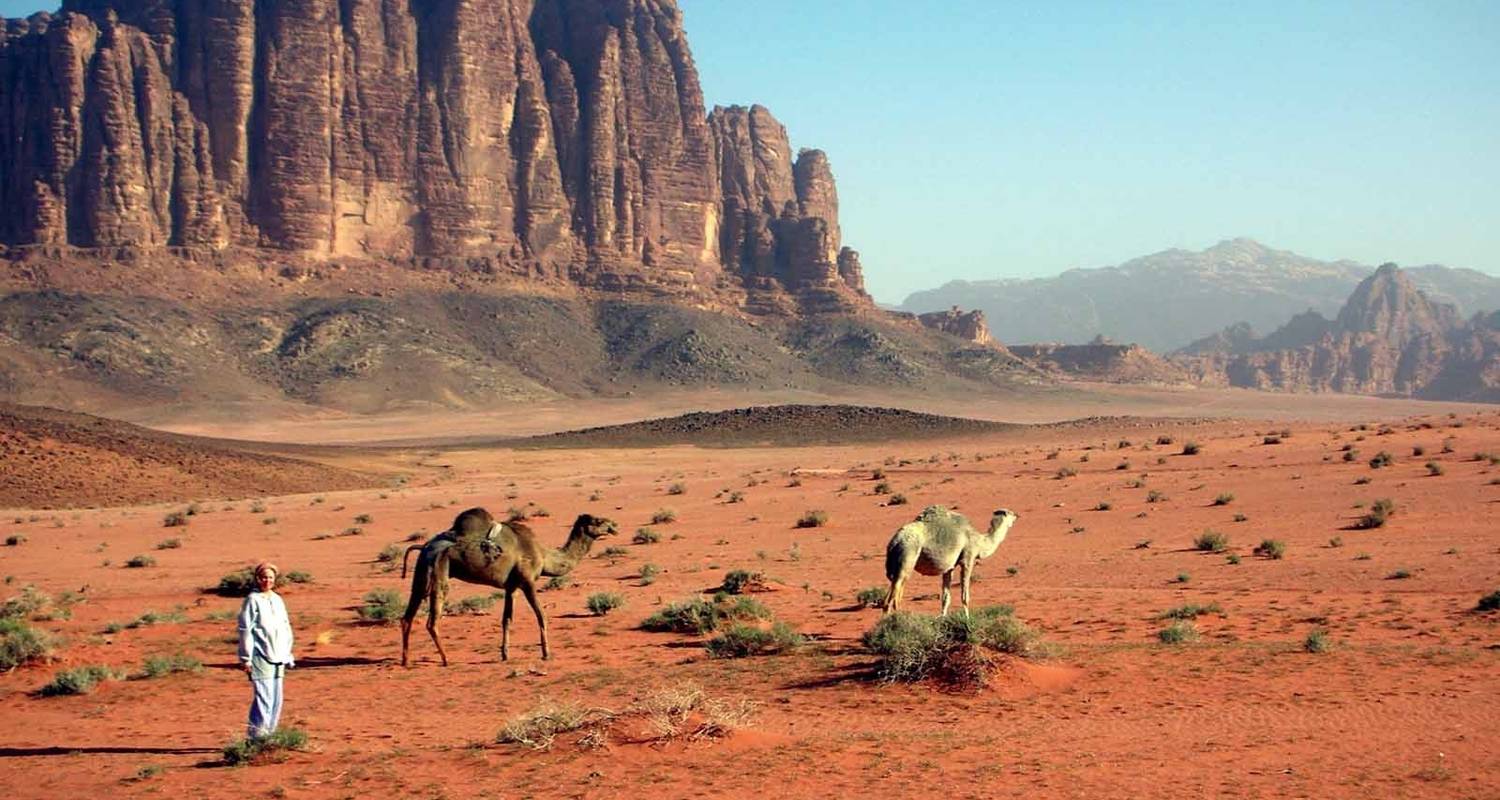 Discover Petra and Wadi Rum in 4 days - Booking Tours