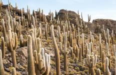 Circuit Le meilleur de la Bolivie et de l'Argentine