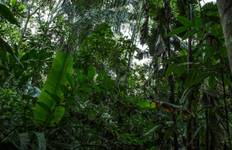 Circuit Intérieur et Amazonie