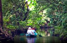 Circuit Tortuguero : Un paradis naturel au Costa Rica