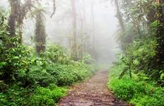 Circuit Volcan Arenal et forêt de nuages de Monteverde au Costa Rica, la combinaison parfaite
