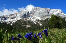 Circuit Treks dans les Dolomites italiennes