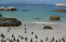 Circuit Le Cap, la Route des jardins et le Kruger - forfait de 11 jours