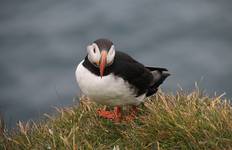 Circuit Le Grand Tour : Le tour de l'Islande en 13 jours