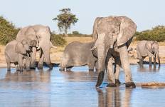 Circuit Afrique australe par voie terrestre : Canoës et campements