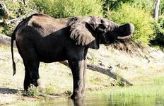 Circuit Chutes Victoria et Okavango Wilderness Trail - avec hébergement - 9 jours