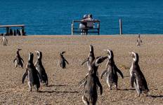 Circuit L'Argentine pour les vrais explorateurs