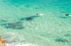 Sydney to Brisbane Adventure (from Sydney to Brisbane) Tour