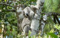 Circuit Aventure de Sydney à Cairns