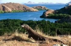 World’s Natural Wonders: Java, Bali, Flores and Komodo, Private Tour
