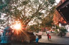 Circuit Splendeur du Sri Lanka (7 jours) Possibilité de surclassement en circuit privé