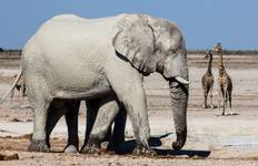 Circuit 7 jours - Sossusvlei, Swakopmund et parc national d'Etosha - hébergement