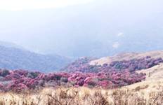 Circuit Ghorepani Poon Hill Trek