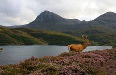 3-Day The North Coast 500 Small-Group Tour from Inverness Tour