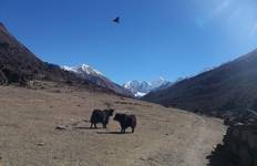 Langtang Valley Trek for 2025/2026 Tour