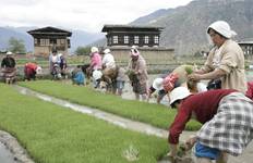 Bhutan at a Glance Tour