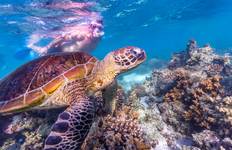 7 Day Perth to Exmouth Explorer & Ningaloo Reef Return - from Perth Tour