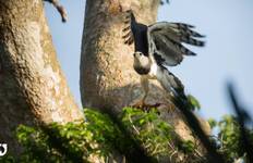 Manu National Park 3D-2N Tour Tour