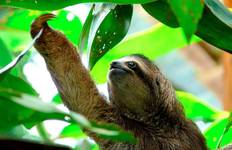 Circuit Les points forts du Costa Rica