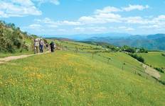 Circuit Marcher sur le Camino de Santiago