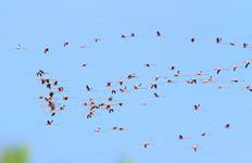 Circuit Cycle Mexico - Péninsule du Yucatan