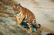 Delhi to Kathmandu Tour