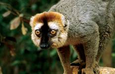Madagascar Wilderness Trek Tour