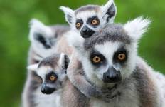 Madagascar: The Lost Continent Tour
