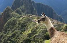 Classic Peru (Inti Raymi) Tour