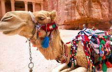 Circuit Trek sur les sentiers des épices en Jordanie