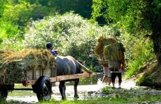 Circuit Marcher au Vietnam et au Cambodge