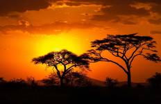 Circuit Afrique du Sud et Eswatini