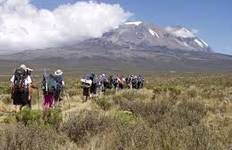 Circuit 8 jours sur la route du Kilimandjaro Lemosho - Parfait pour les débutants et les amoureux de la nature