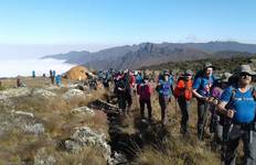 Circuito Ruta del Kilimanjaro Lemosho de 8 días - Perfecta para principiantes y amantes de la naturaleza