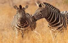 Ngorongoro, Manyara, Tarangire 4 Days Safari Tour