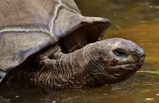 Mysteries of the Inca Empire with Peru's Amazon & Galapagos Cruise Tour